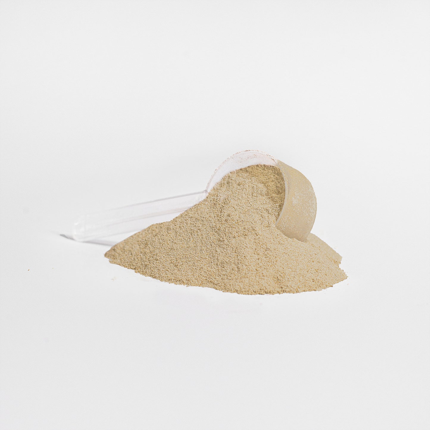Advanced 100% Whey Protein Isolate - Vanilla (28.40 oz./24 Servings)